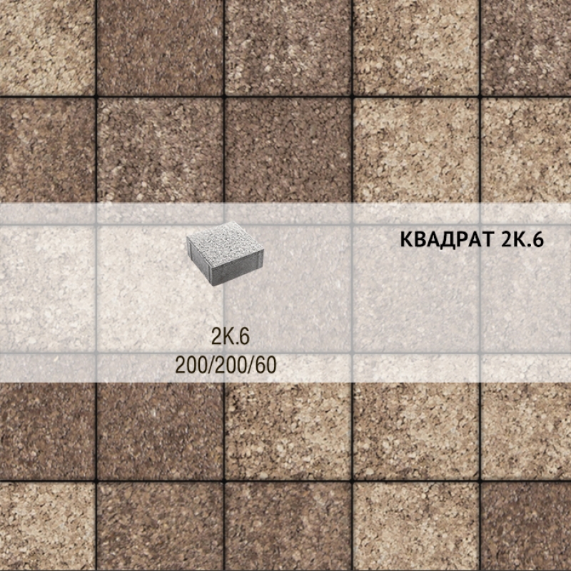 Плитка тротуарная Выбор, квадрат, листопад, 200х200х60 мм,2К.6 Хаски