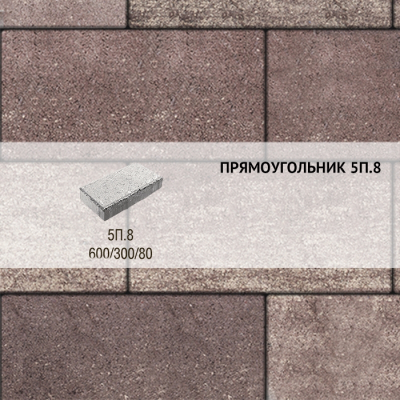 Плитка тротуарная Выбор, прямоугольник, искусственный камень, 600x300x80 мм, 5П.8 Плитняк