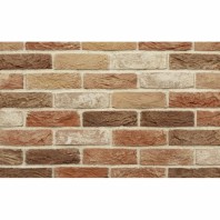 Кирпич ручной формовки Донские зори Мамоново 215x102x65 мм