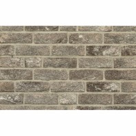 Кирпич ручной формовки Донские зори Серебряно 215x102x65 мм