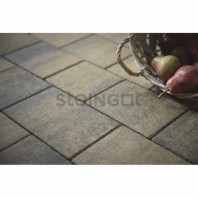 Плитка тротуарная Steingot, новый город, цвет: штайн хром, 60 мм