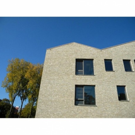 Кирпич Terca, ручной формовки, Rustiek Marziale, 215х102х65 мм