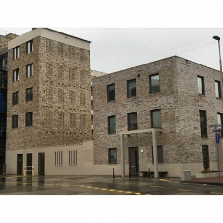 Кирпич ENGELS, ручной формовки, Ladoga ,215х100х65 мм