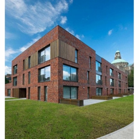 Кирпич Terca, ручной формовки, Passiebloem, 215х102х65 мм