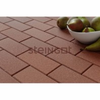 Плитка тротуарная Steingot, прямоугольник, цвет: коричневый (верхний прокрас, минифаска), 200х100х60 мм