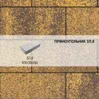 Плитка тротуарная Выбор, прямоугольник, листопад, 600x300x80 мм, 5П.8 Янтарь