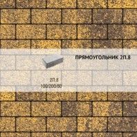 Плитка тротуарная Выбор, прямоугольник, листопад гранит, 200x100x80 мм, 2П.8 Янтарь