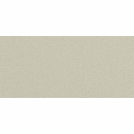 Фиброцементный сайдинг CEDRAL Lap smooth цвет: Березовая роща С08
